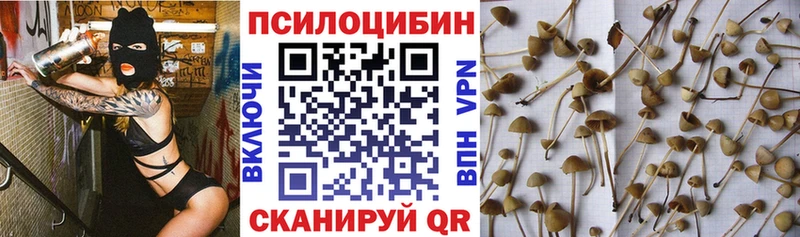 Галлюциногенные грибы мухоморы Дальнегорск