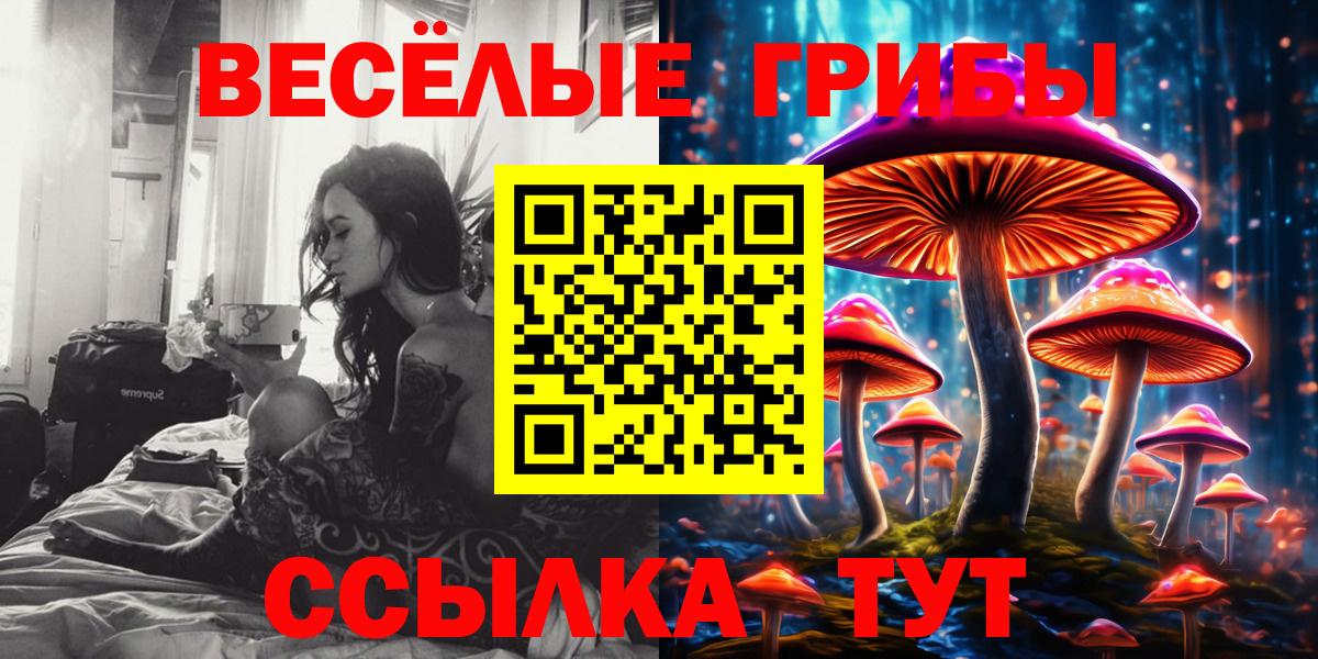 Галлюциногенные грибы прущие грибы  Галлюциногенные грибы Psilocybe  Дальнегорск  Вход с VPN 