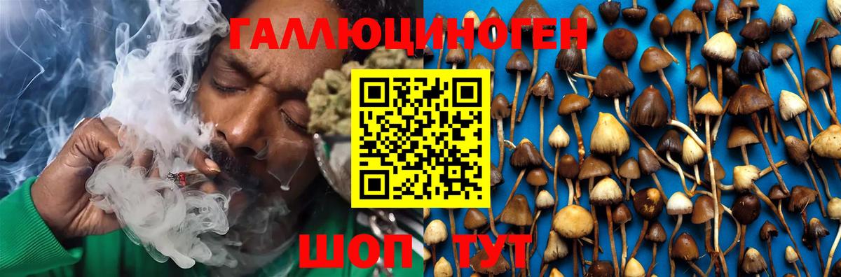 Псилоцибиновые грибы Magic Shrooms Дальнегорск
